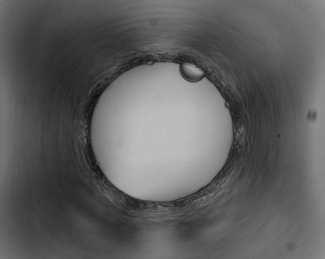 X0000103910772200809191118
