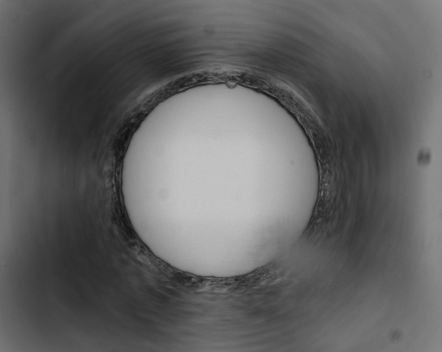 X0000103910773200809191118