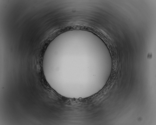 X0000103910774200809191118