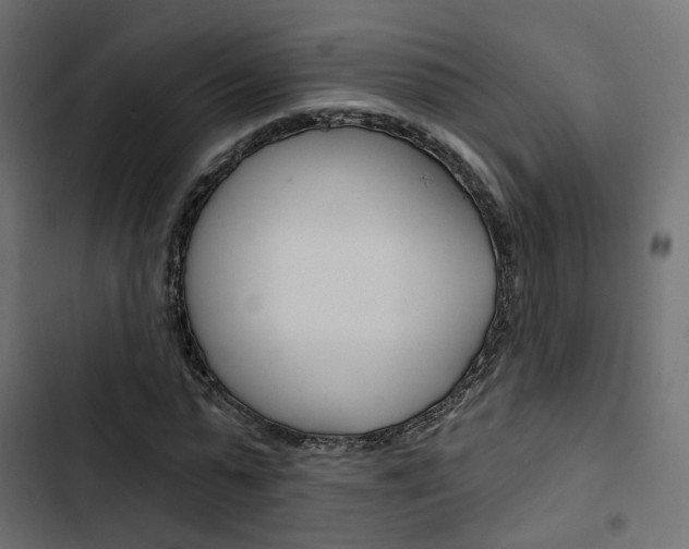 X0000103910775200809191118
