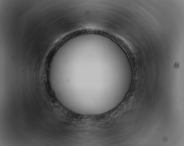 X0000103910776200809191118