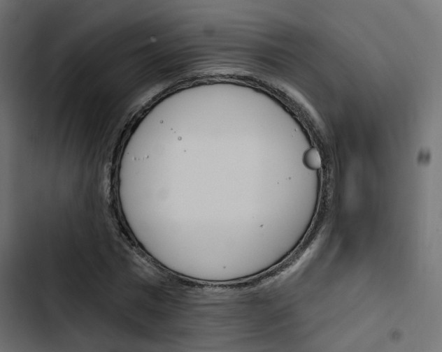 X0000103910777200809191118