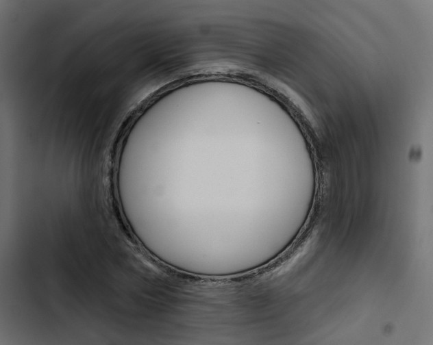 X0000103910778200809191118