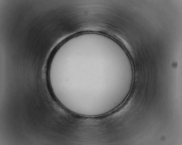X0000103910779200809191118