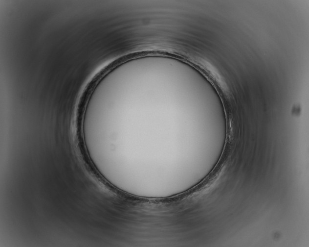 X0000103910780200809191118