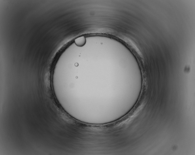 X0000103910781200809191118