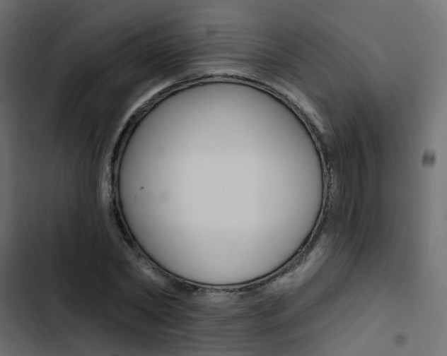 X0000103910782200809191118