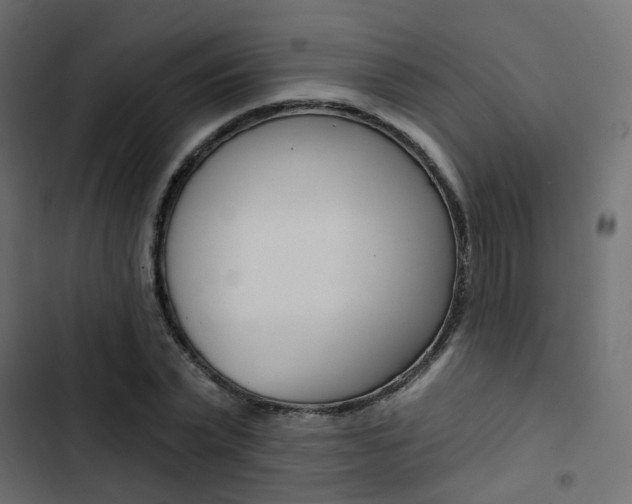 X0000103910783200809191118