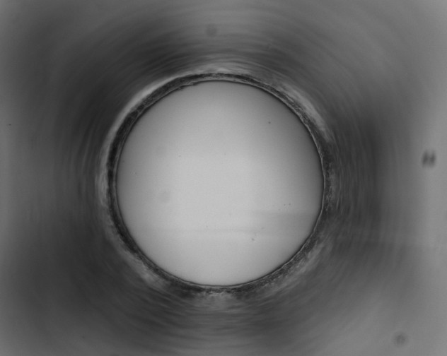 X0000103910784200809191118
