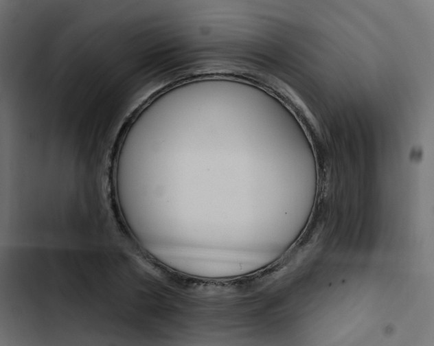 X0000103910786200809191118
