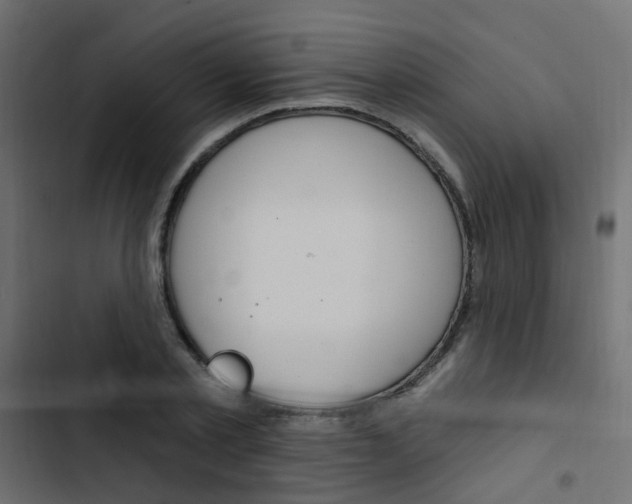 X0000103910789200809191118