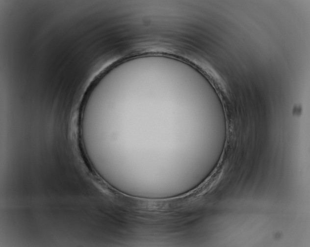 X0000103910790200809191118