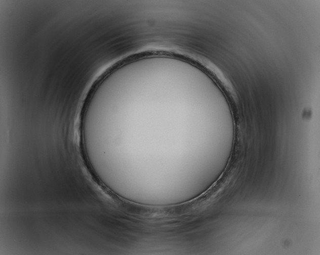 X0000103910791200809191118