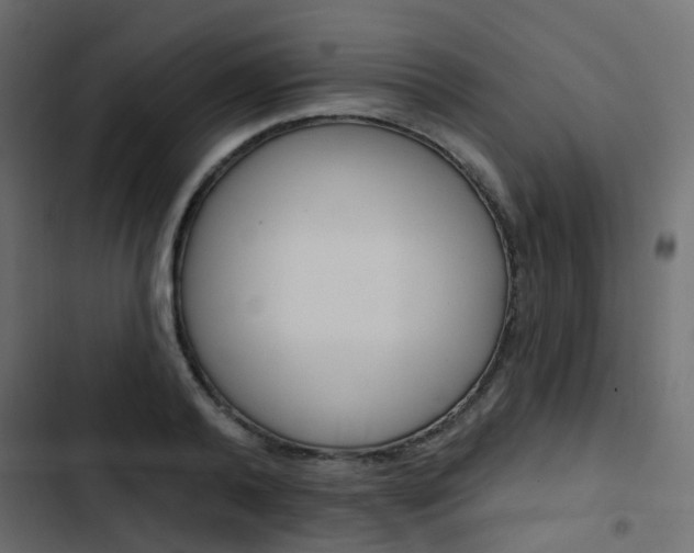 X0000103910792200809191118