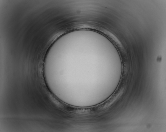 X0000103910793200809191118
