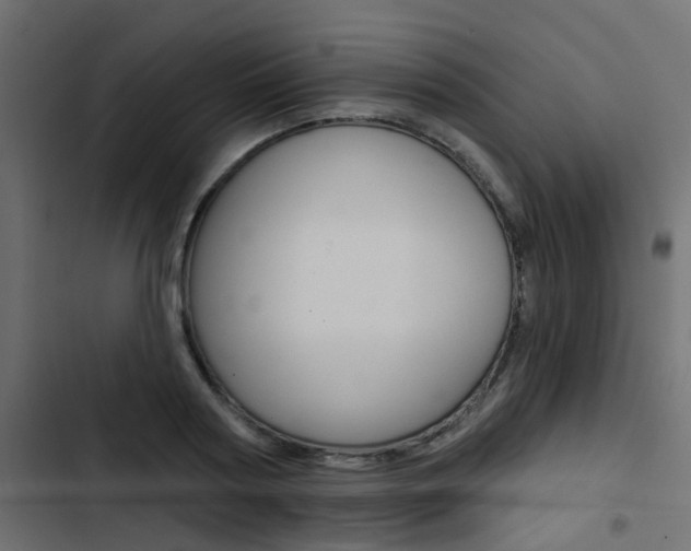 X0000103910794200809191118