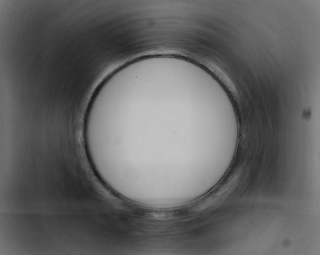 X0000103910797200809191118