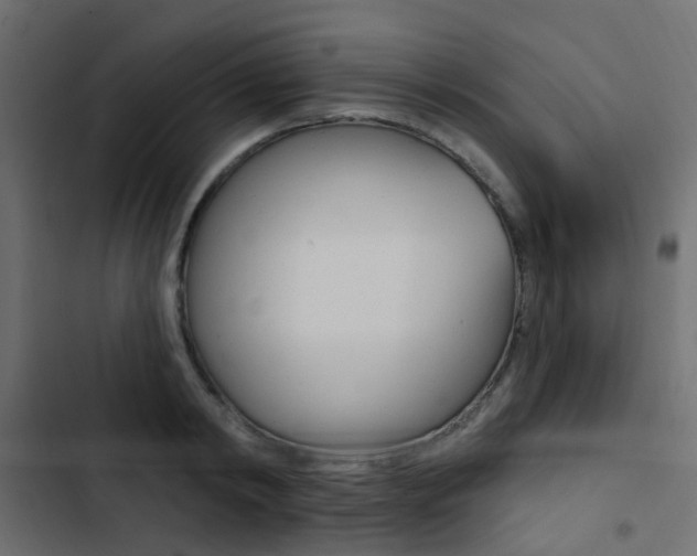 X0000103910798200809191118