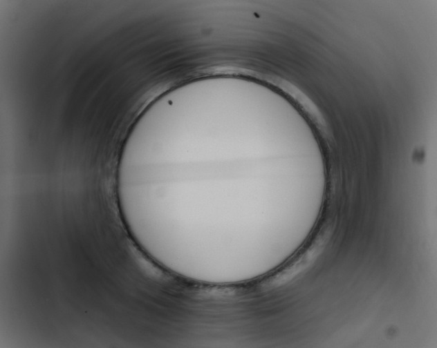 X0000103910801200809191118