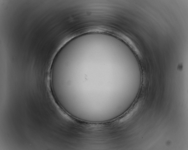 X0000103910802200809191118