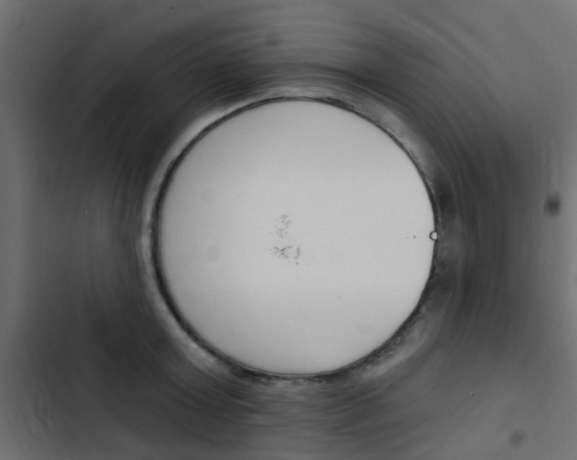 X0000103910803200809191118