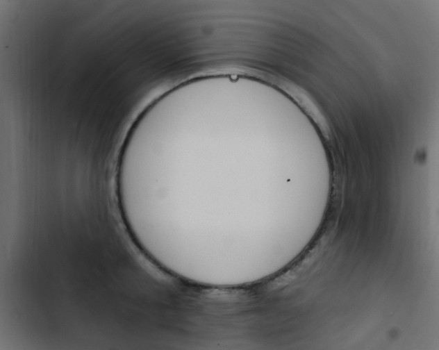 X0000103910805200809191118