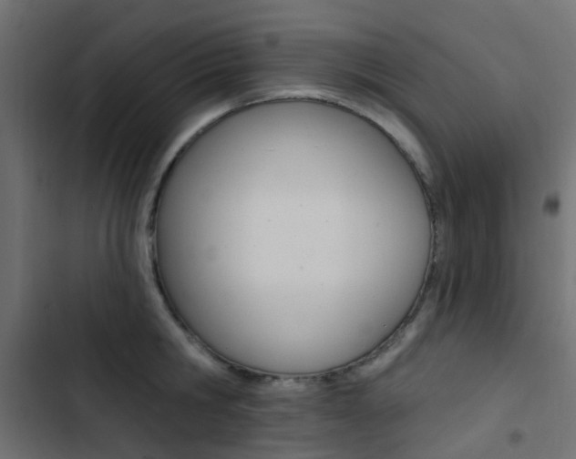 X0000103910806200809191118