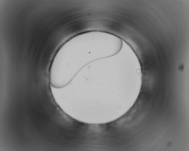 X0000103910807200809191118