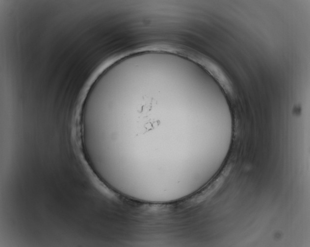 X0000103910808200809191118