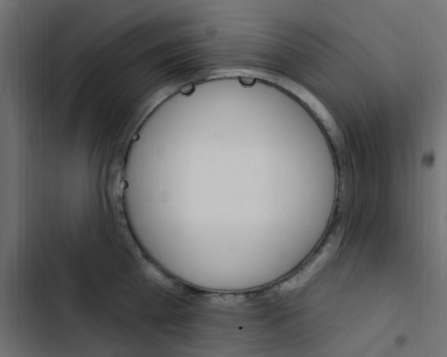 X0000103910809200809191118