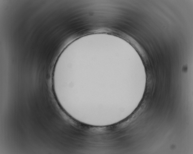 X0000103910810200809191118