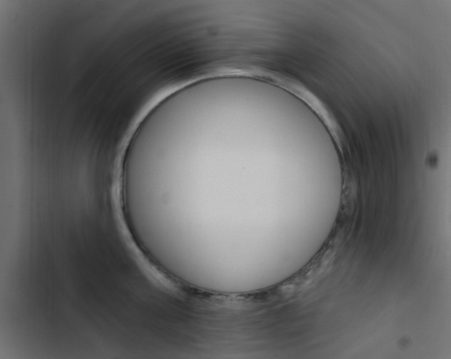 X0000103910811200809191118