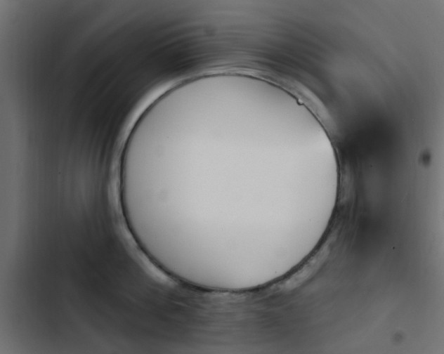 X0000103910812200809191118