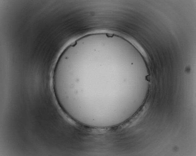 X0000103910813200809191118