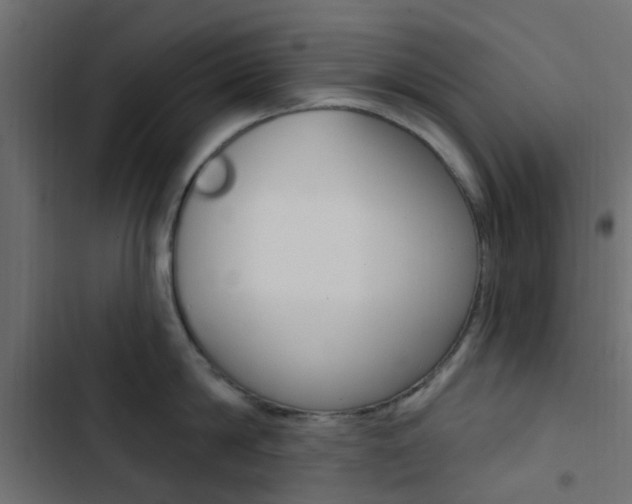 X0000103910814200809191118