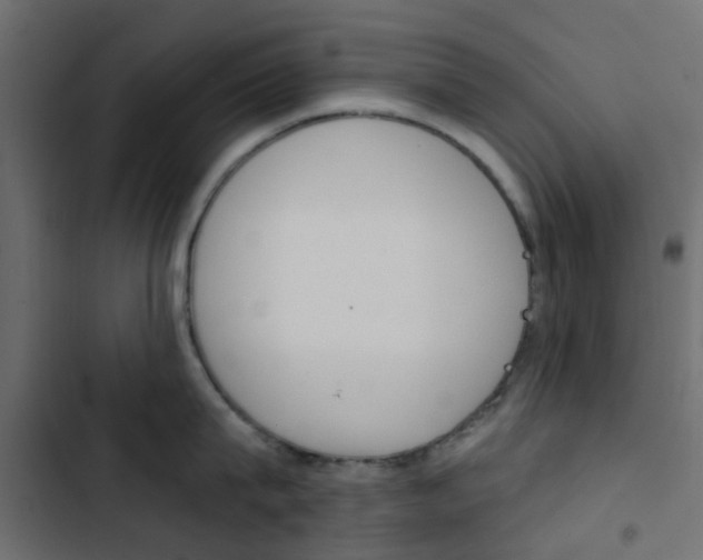 X0000103910815200809191118