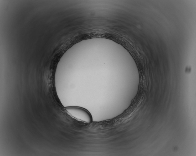 X0000103910818200809191117