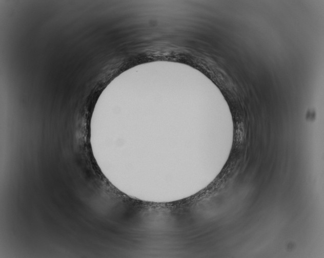 X0000103910820200809191117