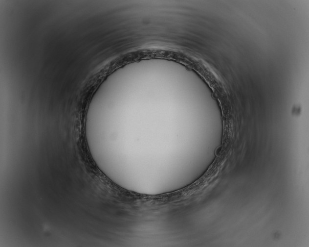 X0000103910821200809191117