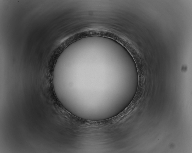 X0000103910822200809191117