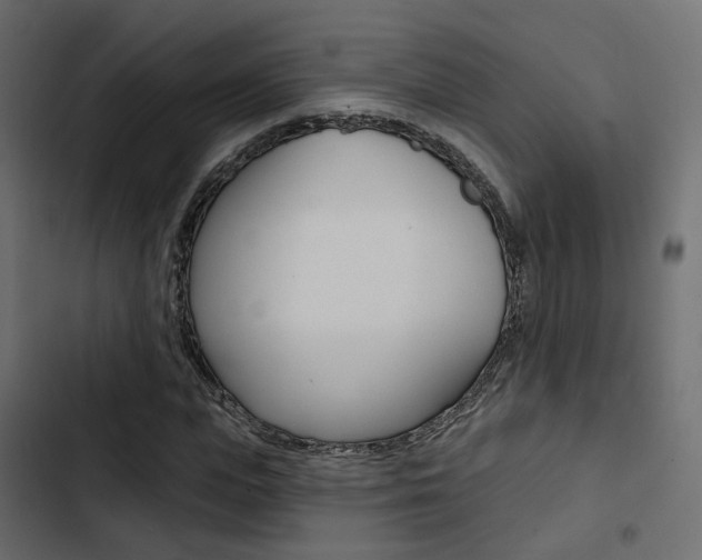 X0000103910823200809191117