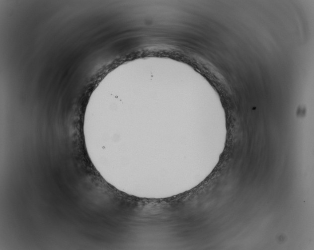 X0000103910824200809191117