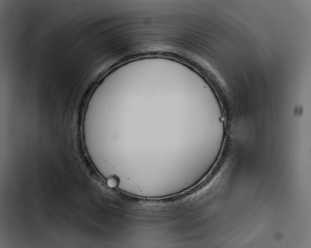 X0000103910825200809191117