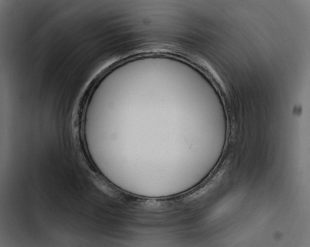 X0000103910827200809191117