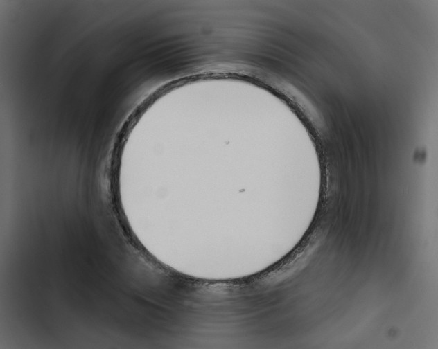 X0000103910828200809191117