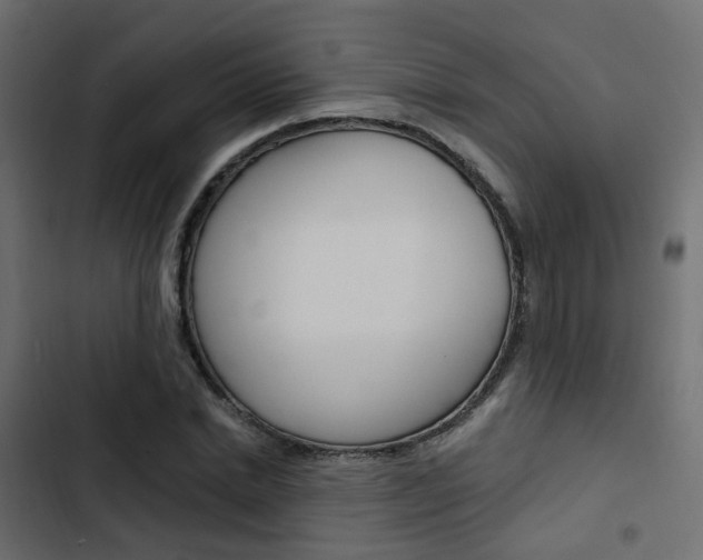 X0000103910830200809191117