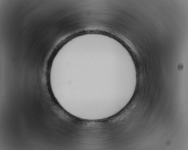 X0000103910832200809191117