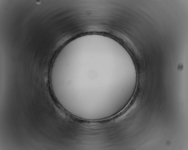X0000103910833200809191117