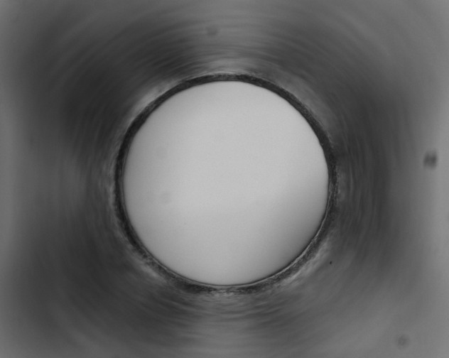 X0000103910834200809191117
