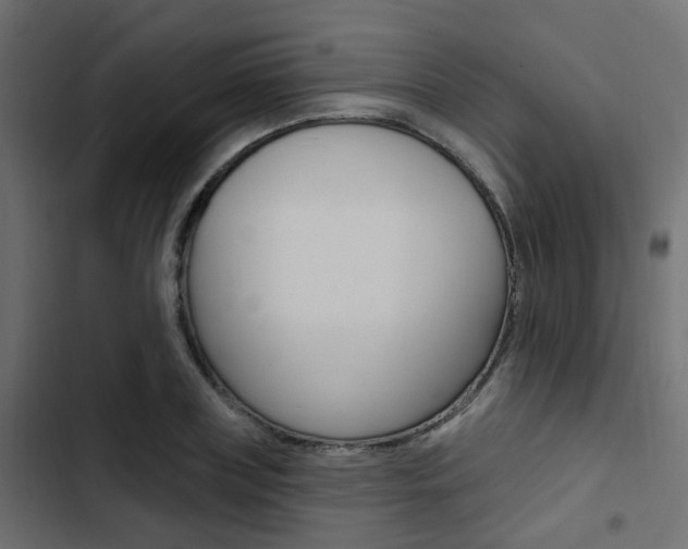 X0000103910835200809191117